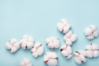 Mavi arka planda pamuk cıvatalar. Düz yatış, üst görünüm