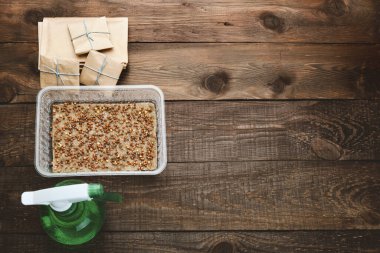 Mikroçimler filizlenmeye hazır. Islak çarşaf hasırına ekilmiş kabın içindeki tohumlar.