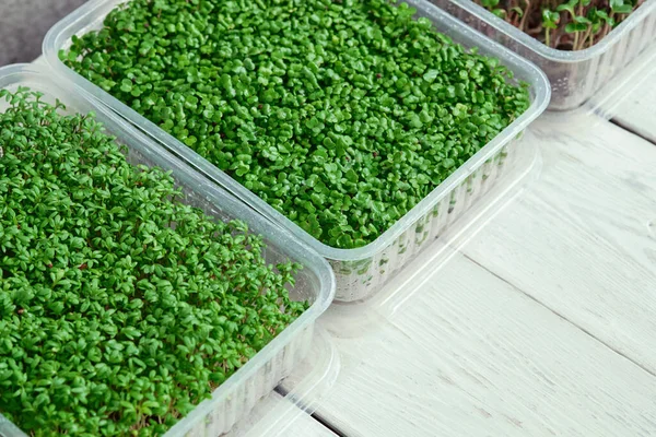 Doosjes Met Microgreens Van Waterkers Broccoli Witte Tafel Concept Van — Stockfoto