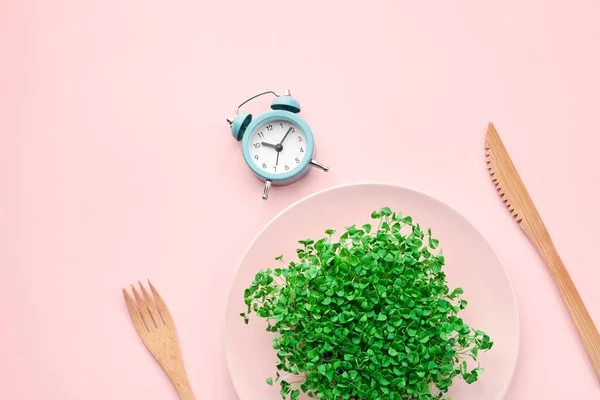 餐具和盘子 粉色上有绿叶 间歇性禁食 午餐和节食概念 — 图库照片