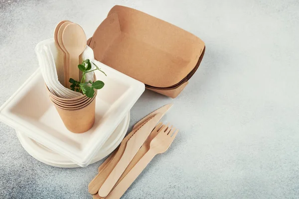 Biodegradable disposable tableware. Paper plates, cups, boxes. Wooden cutlery.