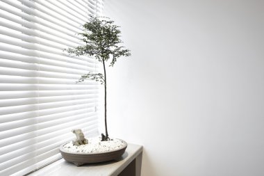 Kör bahisleri sonraki bitkiler