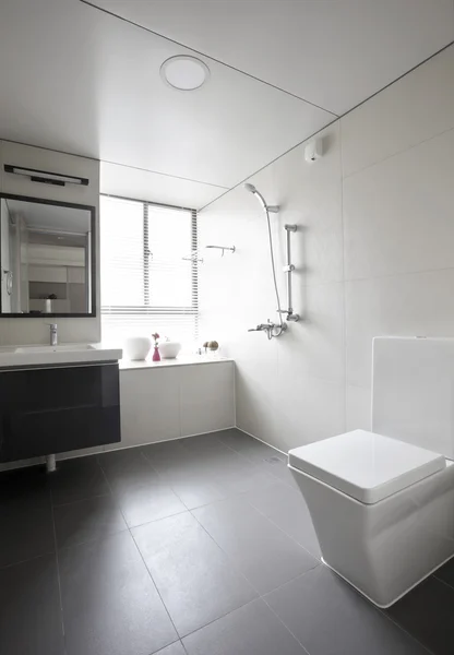 Saubere und komfortable Toilette — Stockfoto