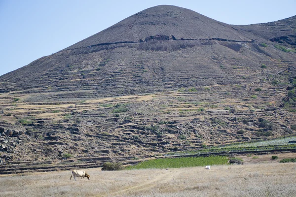 Landschaft mit Hügeln — Stockfoto