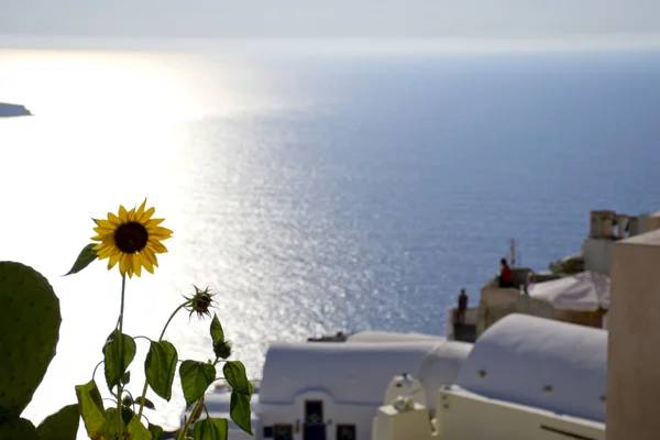 Santorini com edifícios e custos — Fotografia de Stock