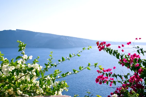 Ostrov Santorini — Stock fotografie