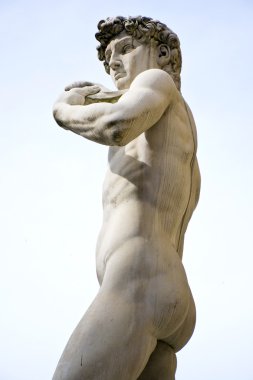 Michelangelo'nun David