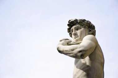 Michelangelo'nun David