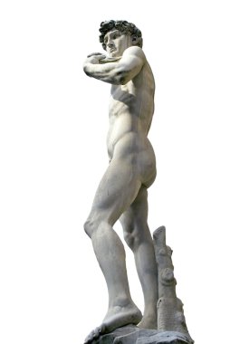 Michelangelo'nun David