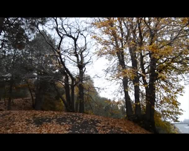 Mount Etna — Stock Video