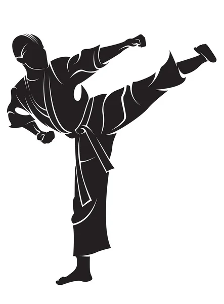 Karate avcı
