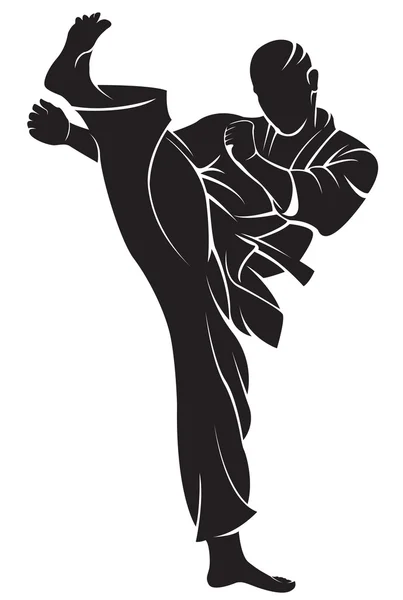 Karate avcı