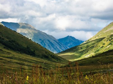 Rusya 'nın Soçi dağlarındaki Yeşil Dağ Vadisi. Resimli manzara, yabani çiçekler. Bulutlar ve mavi gökyüzü. Krasnaya Polyana.