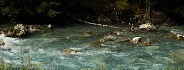 Ormandaki dağ nehri. Yeşil ağaçlar. Büyük taşlar..