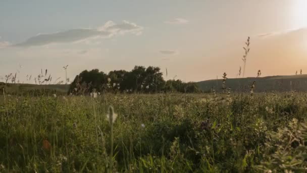 Včas Výhledem Pole Stromy Hory Pohyb Mraků Čas Západu Slunce — Stock video