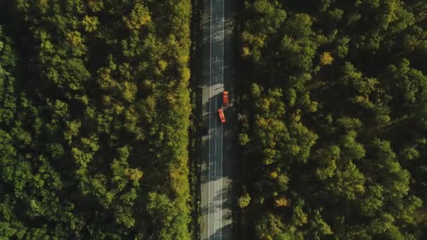 Fågelperspektiv Motorvägen Som Lagts Genom Skogen Från Höjd Kan Hur — Stockvideo