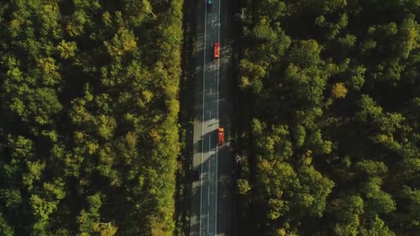 穿过森林的高速公路鸟瞰全景 路上有车There Cars Road 最美丽的森林之路俄罗斯堪察加半岛 — 图库视频影像