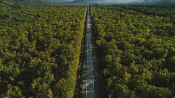Vista Aerea Dell Autostrada Prevista Attraverso Foresta Auto Stanno Guidando — Video Stock