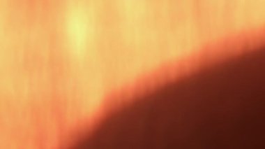 Prism Gökkuşağı Işıkları Kara Arkaplan 'a vuruyor. Çok renkli ışık 4K görüntü sızdırıyor. Doğal aydınlatma ışınları bokeh etkisi. Çekimlerinizi birleştirmek, videoyu biçimlendirmek, geçişlerinizi.