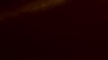 Prism Gökkuşağı Işıkları Kara Arkaplan 'a vuruyor. Çok renkli ışık 4K görüntü sızdırıyor. Doğal aydınlatma ışınları bokeh etkisi. Çekimlerinizi birleştirmek, videoyu biçimlendirmek, geçişlerinizi.