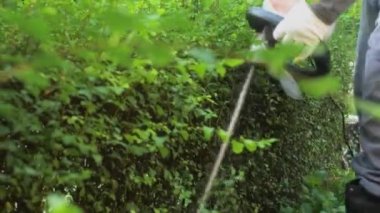Bahçe işçisi, çalıları budamak için çim biçme makinesi kullanıyor. Çalıları kesme ve dekore etme çalışmalarının yavaş çekim videosu.