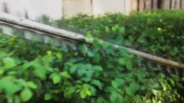 Bahçe işçisi, çalıları budamak için çim biçme makinesi kullanıyor. Çalıları kesme ve dekore etme çalışmalarının yavaş çekim videosu.
