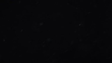 Siyah zemin üzerinde beyaz-gümüş parçacıkların havada asılı kalması. Bazı parçacıklar güzel bir bokeh içinde bulanıklaşıyor. Çeşitli karıştırma kiplerinde videolarınız için 4K arkaplan.