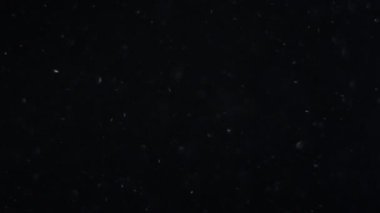 Siyah zemin üzerinde beyaz-gümüş parçacıkların havada asılı kalması. Bazı parçacıklar güzel bir bokeh içinde bulanıklaşıyor. Çeşitli karıştırma kiplerinde videolarınız için 4K arkaplan.