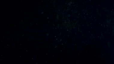 Siyah zemin üzerinde beyaz-gümüş parçacıkların havada asılı kalması. Bazı parçacıklar güzel bir bokeh içinde bulanıklaşıyor. Çeşitli karıştırma kiplerinde videolarınız için 4K arkaplan.
