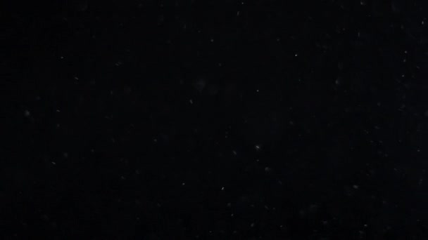 Fehér Ezüst Részecskék Szuszpenziója Levegőben Fekete Alapon Néhány Részecske Elmosódott — Stock videók