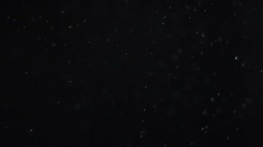 Siyah zemin üzerinde beyaz-gümüş parçacıkların havada asılı kalması. Bazı parçacıklar güzel bir bokeh içinde bulanıklaşıyor. Çeşitli karıştırma kiplerinde videolarınız için 4K arkaplan.