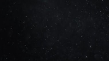 Siyah zemin üzerinde beyaz-gümüş parçacıkların havada asılı kalması. Bazı parçacıklar güzel bir bokeh içinde bulanıklaşıyor. Çeşitli karıştırma kiplerinde videolarınız için 4K arkaplan.