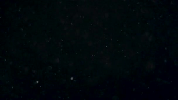 黒の背景に空気中の白い銀粒子の懸濁液 粒子のいくつかは美しいボケでぼやけている 様々なミキシングモードでのビデオの4K背景 — ストック動画