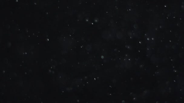 Fehér Ezüst Részecskék Szuszpenziója Levegőben Fekete Alapon Néhány Részecske Elmosódott — Stock videók