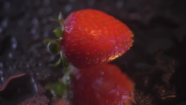 Slow Motion Fall One Strawberry Wet Black Mirror Surface Macro — Stock Video