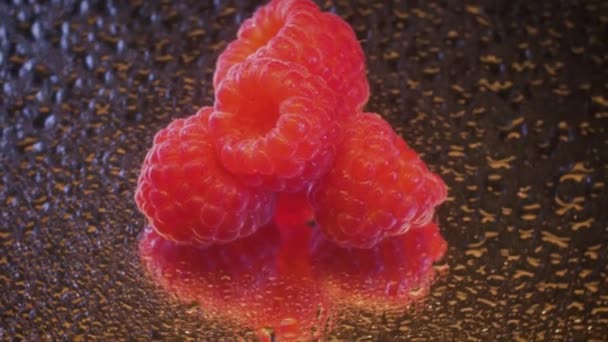 Makroschießen Einer Handvoll Himbeeren Geschlungene 360 Grad Drehung Des Videos — Stockvideo