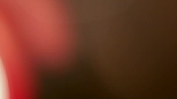 Разноцветные Утечки Света Кадров Черном Фоне Накладки Вспышки Студии Объектива — стоковое видео