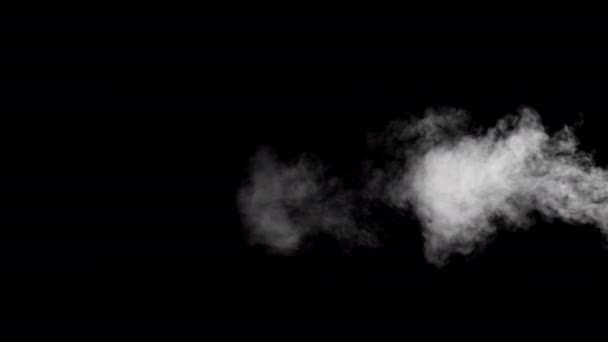 暗い背景に遅い動きで柔らかい霧 現実的な雰囲気の灰色の煙 抽象的なもや雲 4Kでのミスト効果と煙の流れ効果 — ストック動画