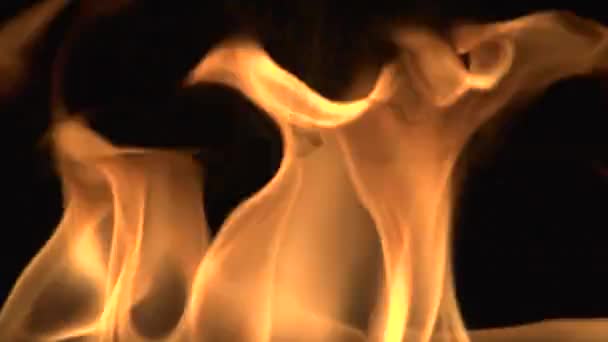 Пламя Красно Оранжевое Черном Фоне Isolated — стоковое видео