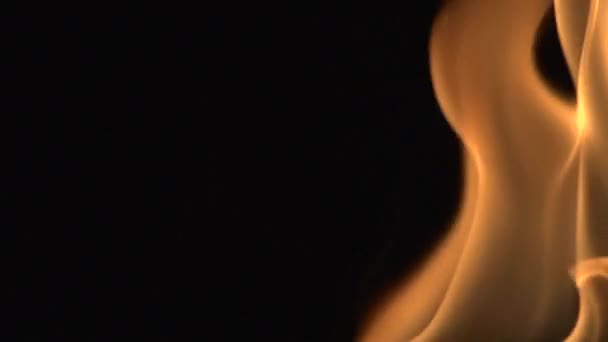 Flames Red Orange Black Background Isolated — Stock Video