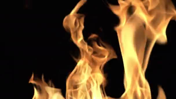 Plameny Jsou Červenooranžové Černém Pozadí Izolované — Stock video