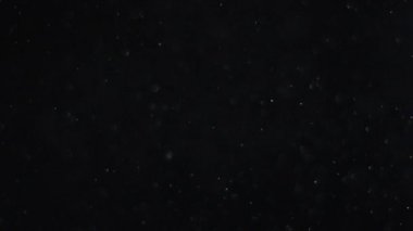 Siyah arka planda havada beyaz-gümüş parçacıkları var. Bazı parçacıklar güzel bir bokeh içinde bulanıklaşıyor. Çeşitli karıştırma kiplerinde videolarınız için 4K arkaplan.