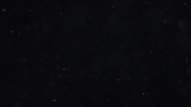 Siyah arka planda havada beyaz-gümüş parçacıkları var. Bazı parçacıklar güzel bir bokeh içinde bulanıklaşıyor. Çeşitli karıştırma kiplerinde videolarınız için 4K arkaplan.