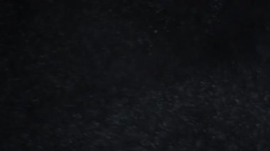 Siyah arka planda havada beyaz-gümüş parçacıkları var. Bazı parçacıklar güzel bir bokeh içinde bulanıklaşıyor. Çeşitli karıştırma kiplerinde videolarınız için 4K arkaplan.