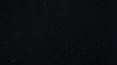 Siyah arka planda havada beyaz-gümüş parçacıkları var. Bazı parçacıklar güzel bir bokeh içinde bulanıklaşıyor. Çeşitli karıştırma kiplerinde videolarınız için 4K arkaplan.