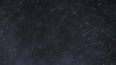 Siyah arka planda havada beyaz-gümüş parçacıkları var. Bazı parçacıklar güzel bir bokeh içinde bulanıklaşıyor. Çeşitli karıştırma kiplerinde videolarınız için 4K arkaplan.