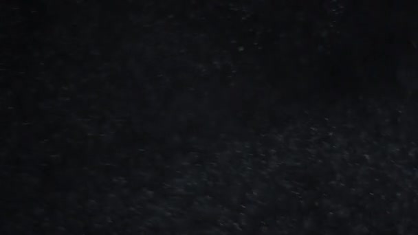 Fehér Ezüst Részecskék Levegőben Fekete Háttérrel Néhány Részecske Elmosódott Egy — Stock videók