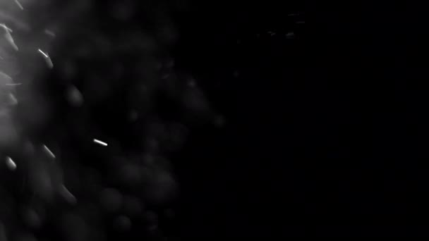 Λευκά Ασημένια Σωματίδια Στον Αέρα Μαύρο Φόντο Μερικά Από Σωματίδια — Αρχείο Βίντεο