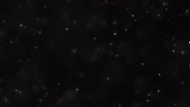 Partículas Prata Branca Sobre Fundo Preto Algumas Das Partículas São — Vídeo de Stock