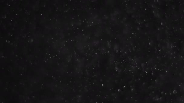 Fehér Ezüst Részecskék Levegőben Fekete Háttérrel Néhány Részecske Elmosódott Egy — Stock videók